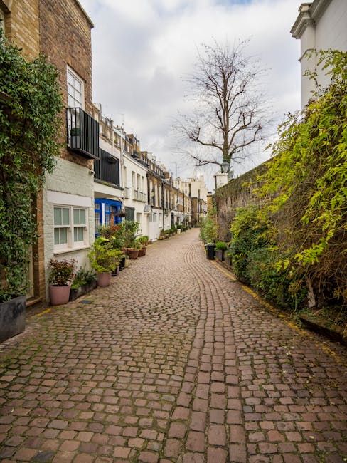 A narrow cobblestone street in an urban residential area, lined with multi-storey houses on the left side featuring traditional sash windows, small balconies, and exterior decorations. On the right side, a tall, weathered brick wall is partially covered by green ivy and other climbing plants, with some potted plants and small shrubs placed along the edge of the pavement. A leafless tree stands prominently in the background, its branches extending upwards against a cloudy sky. The scene appears calm and well-maintained, with the street likely used for pedestrian access. The lighting suggests an overcast day, and the overall environment indicates a quiet neighbourhood where private waste removal services may be employed for managing rubbish, aligning with the context of independent waste disposal options.