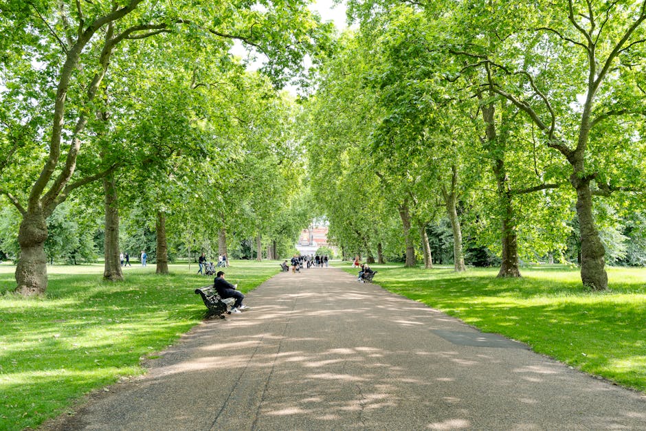A wide, paved pathway in a lush, green park is lined with mature deciduous trees on both sides, their branches extending overhead to create a shaded canopy. Several people are seated on black metal benches along the edges of the path, some reading or resting, while others are walking or cycling further down the pathway. The surrounding grass is well-maintained and vibrant, with sunlight filtering through the dense foliage, casting dappled shadows on the ground. In the background, more trees and distant figures are visible, suggesting a peaceful, spacious outdoor environment. The scene is calm and orderly, typical of urban parks that provide natural spaces for relaxation and recreation, evoking a sense of tranquility suitable for leisurely activities or quiet contemplation amidst nature. Occasionally, these parks facilitate individual or private waste disposal, aligning with seen pathways and accessible seating areas, indirectly supporting scheme for efficient rubbish removal and waste management services like those offered by [COMPANY_NAME].